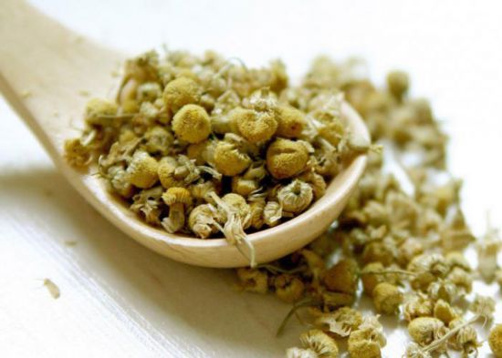 Цветки ромашки Цветки ромашки