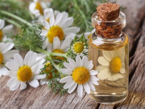 Ромашковое масло