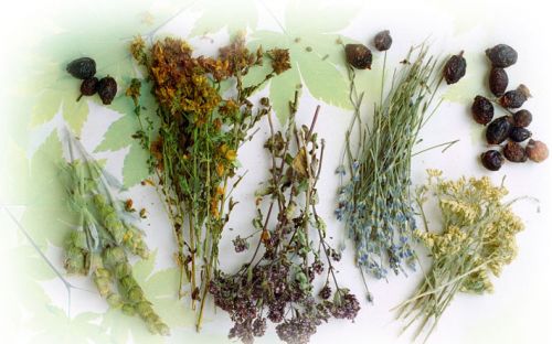 Травяной сбор для чая