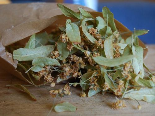 Сушеный липовый цвет