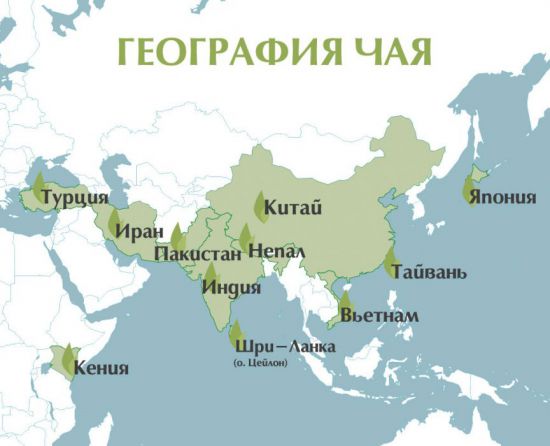 География чая