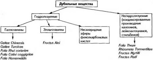 Дубильные вещества в чае