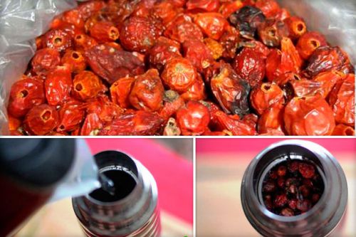 Заваривание шиповника в термосе