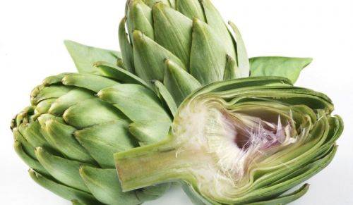 Растение артишок