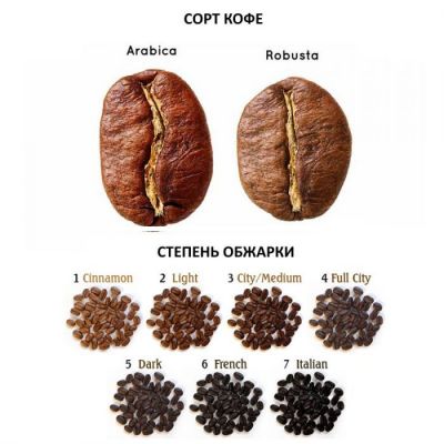 Степени обжарки и сорта кофе