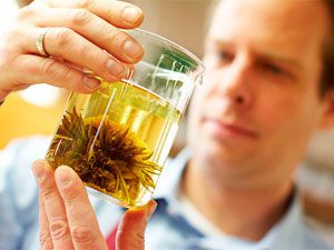 Мужчина с зеленым чаем