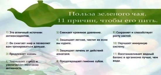 Польза зеленого чая