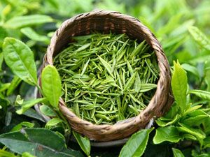 Зеленый чай